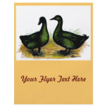 Ducks:  Cayuga Pair flyers