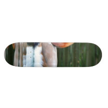 Ducks Custom Skateboard