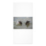 ducks diving rack card