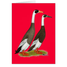 Ducks:  Emery Penciled Runners Greeting Cards