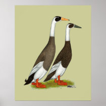 Ducks:  Emery Penciled Runners Poster