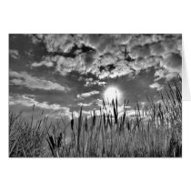 Duck's Eye View Greeting Card