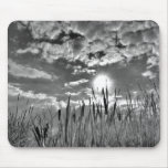 Duck's Eye View mousepads