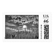 Duck's Eye View Postage