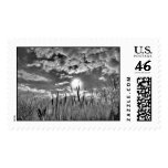 Duck's Eye View Postage