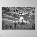 Duck's Eye View Print