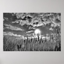 Duck's Eye View Print
