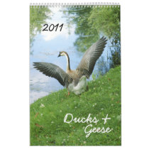 Ducks & Geese 2011 calendar