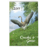 Ducks & Geese 2011 calendar
