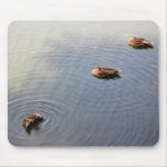 ducks in a pond mouse pad