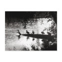 Ducks in a Row postcards