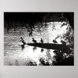 Ducks In a Row posters