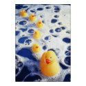 Ducks in a Row posters