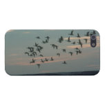 Ducks in Flight iPhone 5 Cover - Savvy