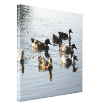 Ducks in formation