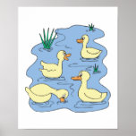 ducks in pond posters