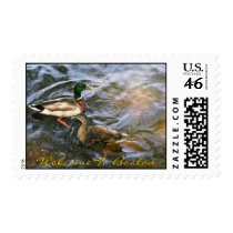 Ducks in the Boston Public Garden postage