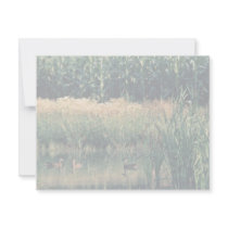 Ducks in Wetland invitations by animalpark Ducks in Wetland invitations