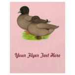 Ducks:  Khaki Calls Flyer