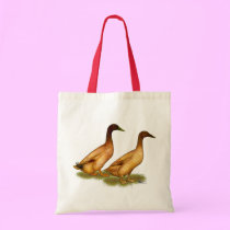 Ducks:  Khaki Campbell bags