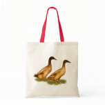 Ducks:  Khaki Campbell bags