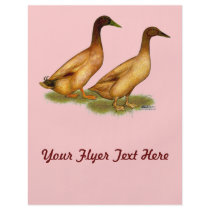 Ducks:  Khaki Campbell Flyer Design