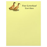 Ducks:  Khaki Campbell Letterhead Design