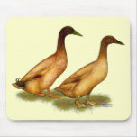 Ducks:  Khaki Campbell mousepads
