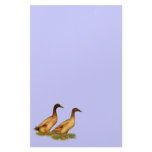 Ducks:  Khaki Campbell Customized Stationery
