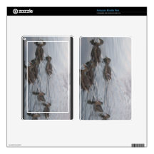 DUCKS KINDLE FIRE SKIN