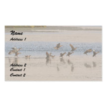 Ducks Landing Art Business Card