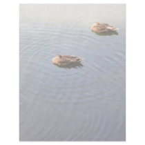 Ducks letterhead by DonnaGrayson_Photos Ducks letterhead