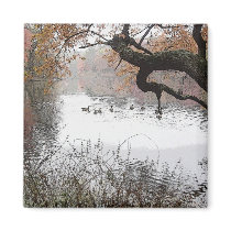 ducks magnet by Ravendark26 ducks magnet
