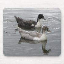 Ducks Mouse Pads