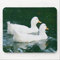 Ducks mousepads