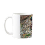 Ducks Mug