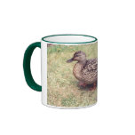 Ducks Mug