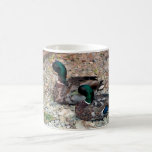 Ducks Mug