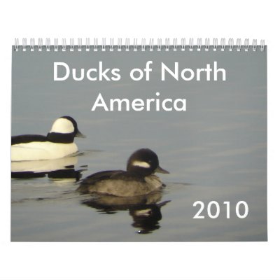 Ducks of North America 2010 Wall Calendars by naturalphotos