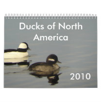 Ducks of North America 2010 calendars