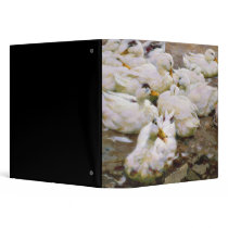 Ducks on a pond 3 ring binders