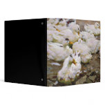 Ducks on a pond 3 ring binders