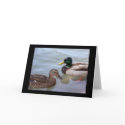 Ducks on a Pond Card