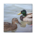 Ducks on a Pond Magnet