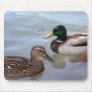 Ducks on a Pond Mousepad
