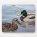 Ducks on a Pond Mousepad