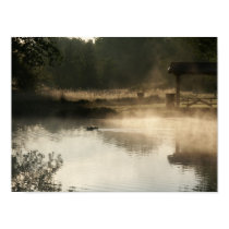 Ducks on a pond posters by usmcrave99 Ducks on a pond posters