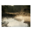 Ducks on a pond posters by usmcrave99 Ducks on a pond posters