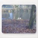 Ducks on a River mousepads