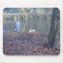 Ducks on a River mousepads
